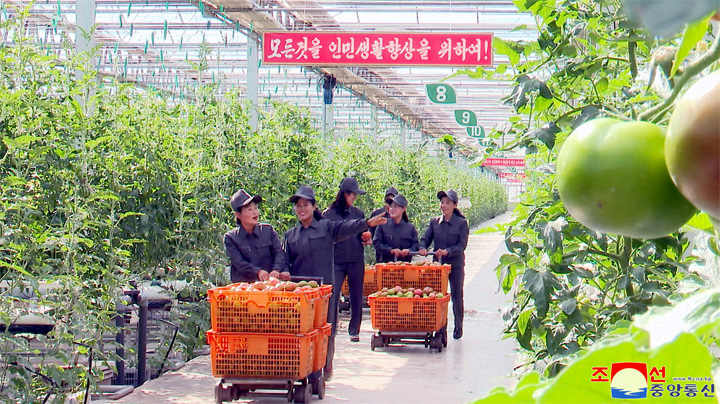 2-온 나라에 펼쳐진 온실바다